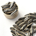 sementes de girassol híbridas, sementes de girassol para consumo humano, sementes de girassol descascadas.